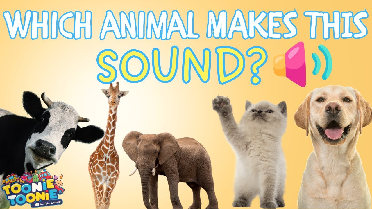 What Animal Makes This Sound? 🔊 Guess the Animals | Animals for Kids