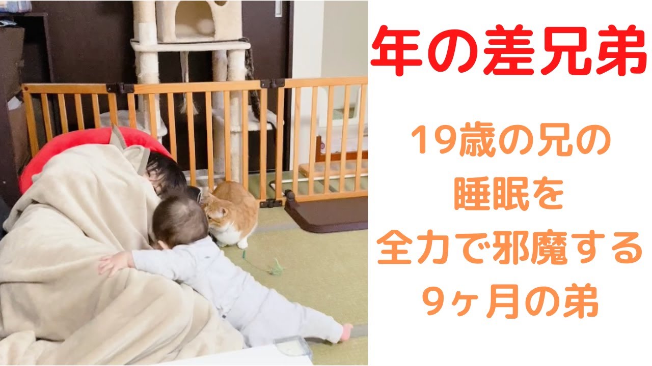【年の差兄弟】9ヶ月の弟が、お兄ちゃんの睡眠を邪魔してみた。