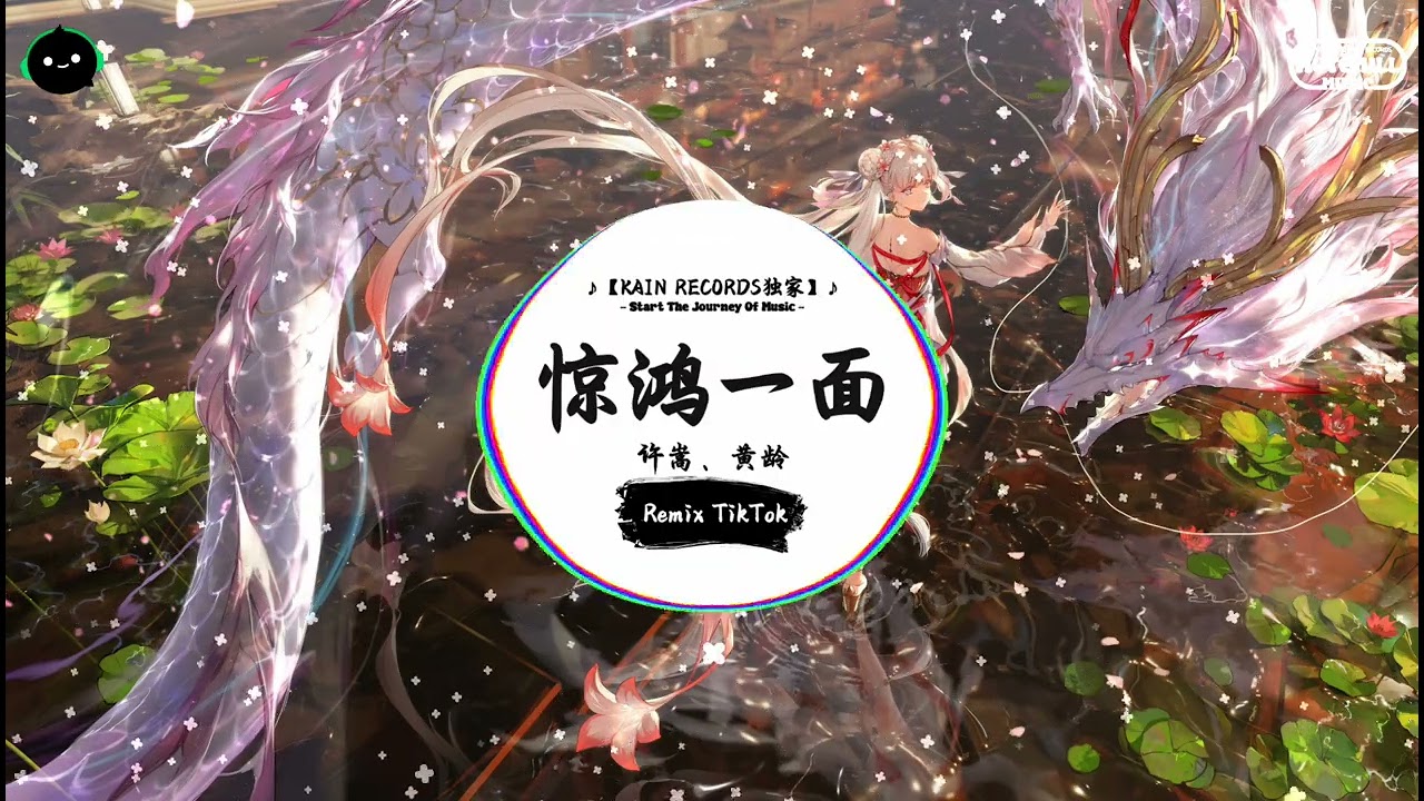 惊鸿一面 (抖音DJ版) - 许嵩、黄龄「柳下闻瑶琴 起舞和一曲，仿佛映当年 翩若惊鸿影。」♪ || 抖音最火歌曲BGM! | 抖音 | TikTok ♪