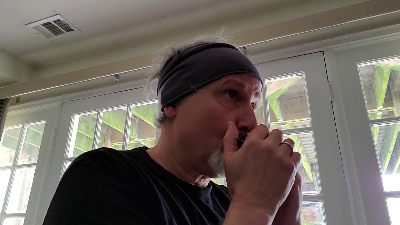 Trying to do Vivaldi 4 Seasons with Harmonica take 1
