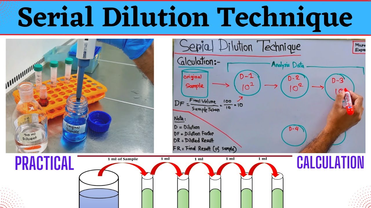 Serial Dilution Technique | For Microbiological & Chemical Analysis | Method, Example & Calculation