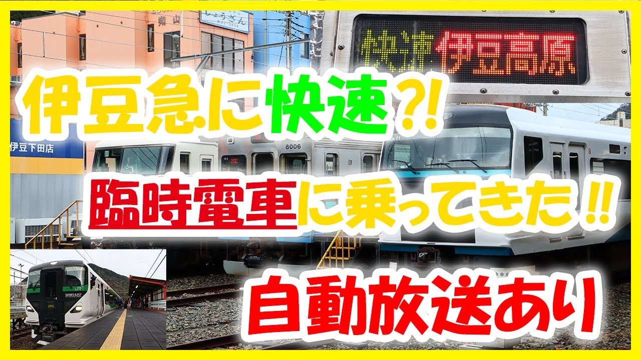 【臨時快速河津桜号】8000系で快速運転⁈臨時特急？185系？乗る＆見る