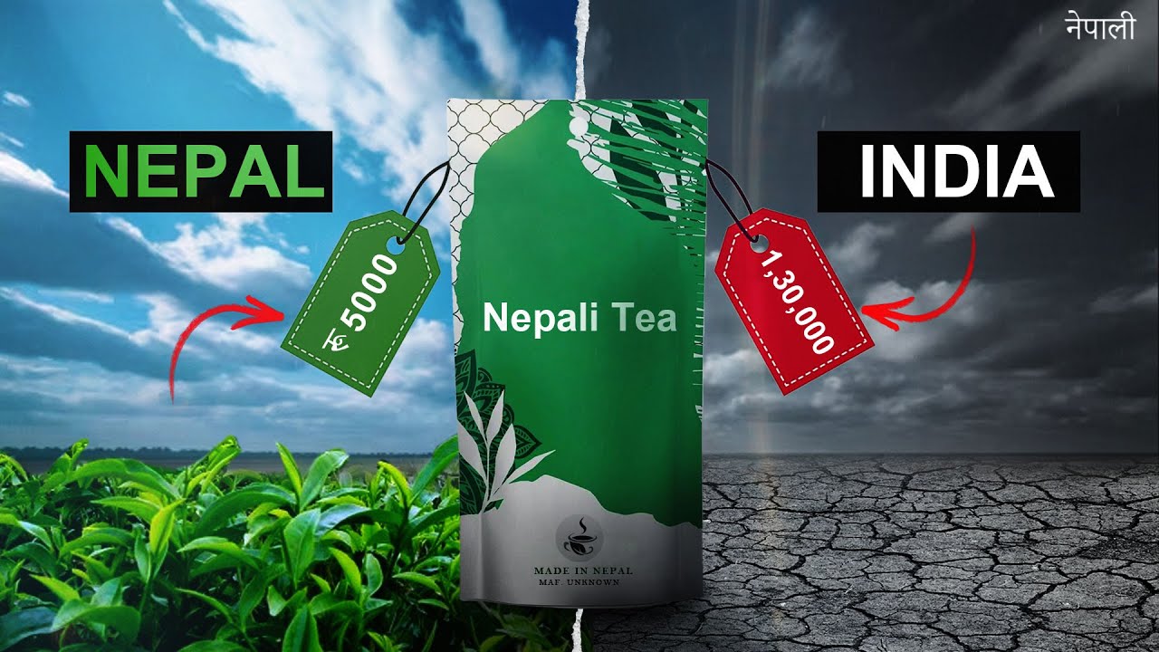 Why Nepali Tea can make us RICH?