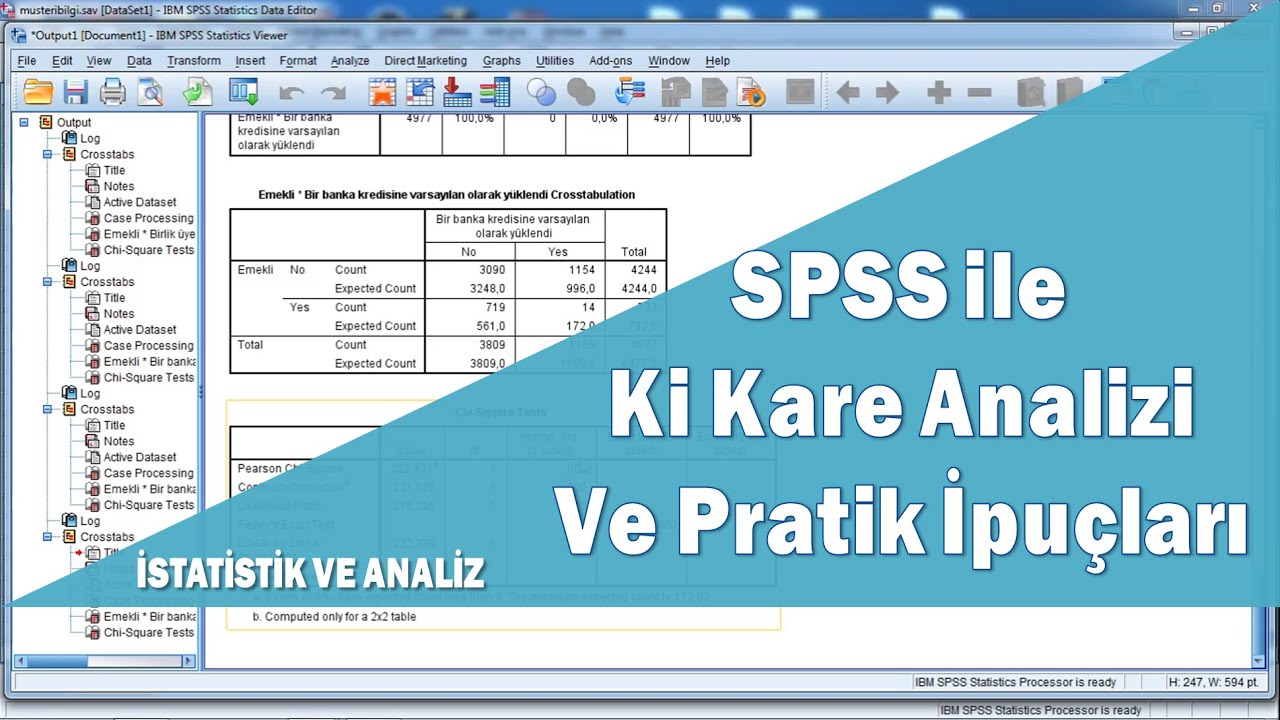 SPSS ile Ki kare (Chi square) analizi ve hipotez testleri