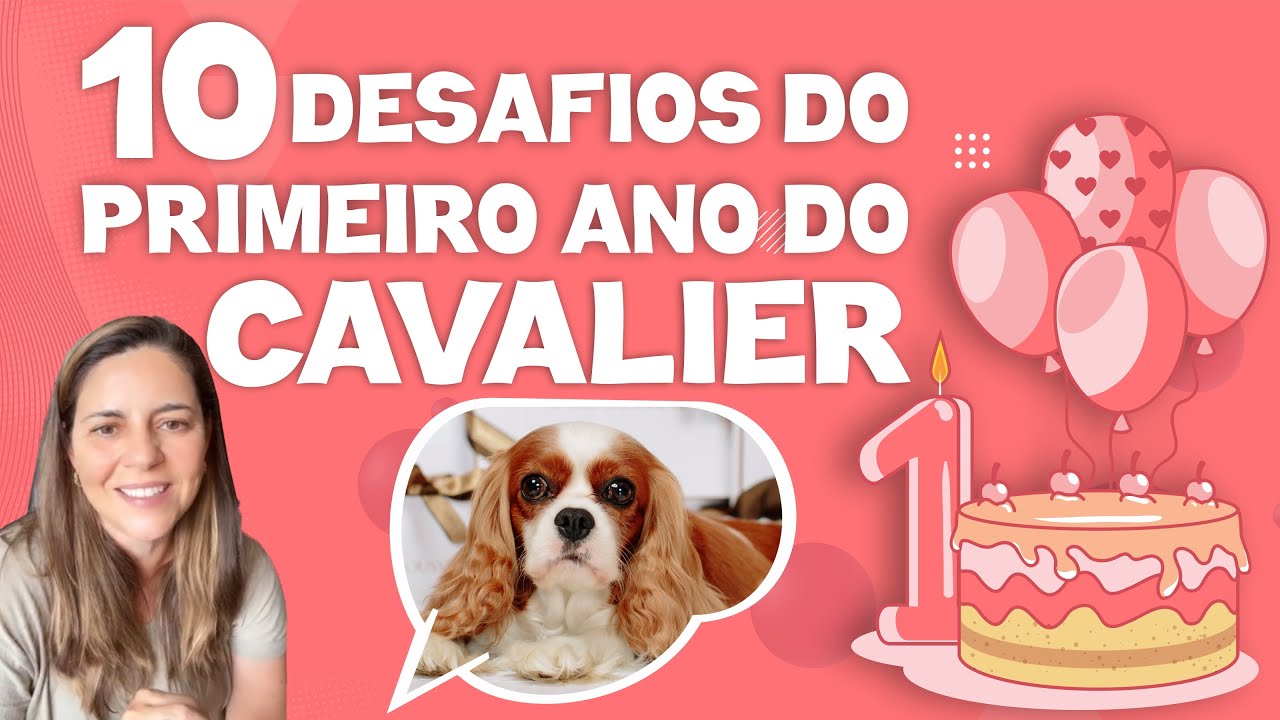 Os 10 Desafios do Primeiro Ano de Vida do Cavalier!
