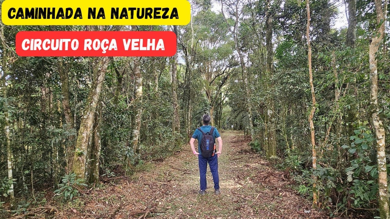 Caminhada Roça Velha - São José dos Pinhais - PR - Caminhos que contam histórias.