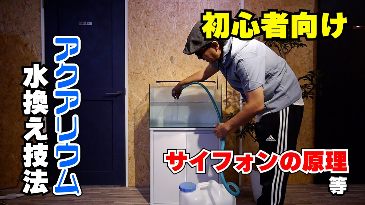 アクアリウム初心者向け、使える「水換え技法」について