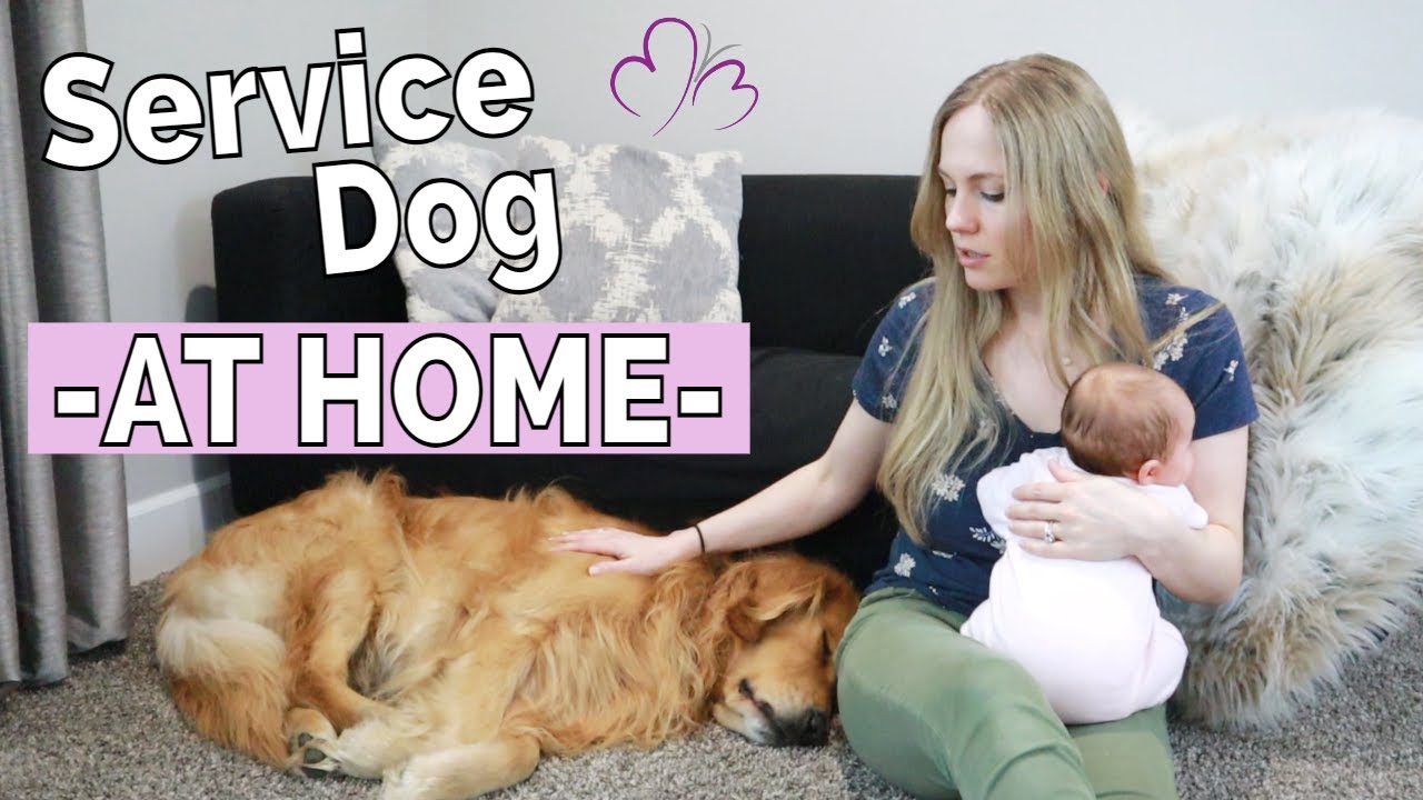 STORY: Medical Episode with Friends Over // Off-Duty Service Dog Alert & Response