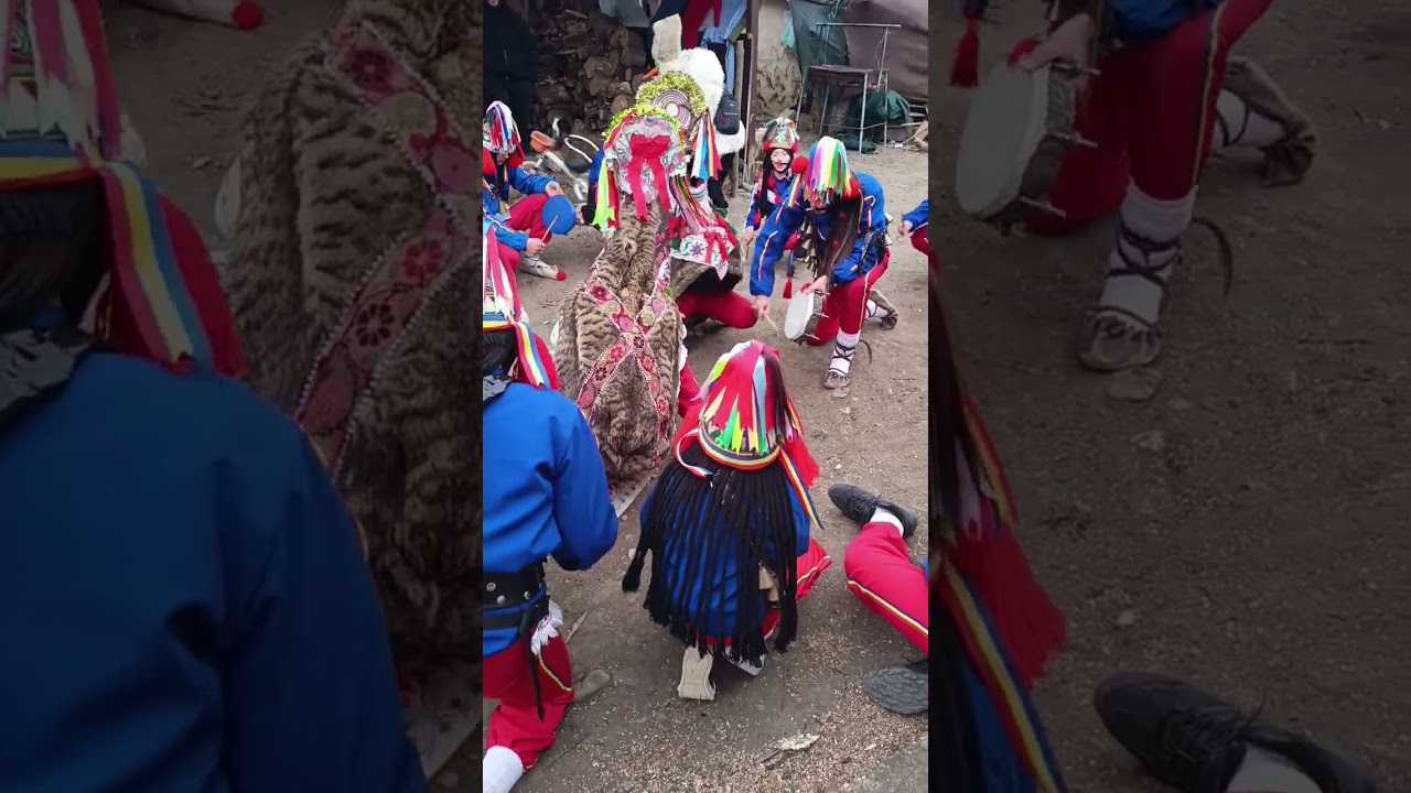 Cerbul de la Prigoreni Comuna Ion Neculce 2025/2026