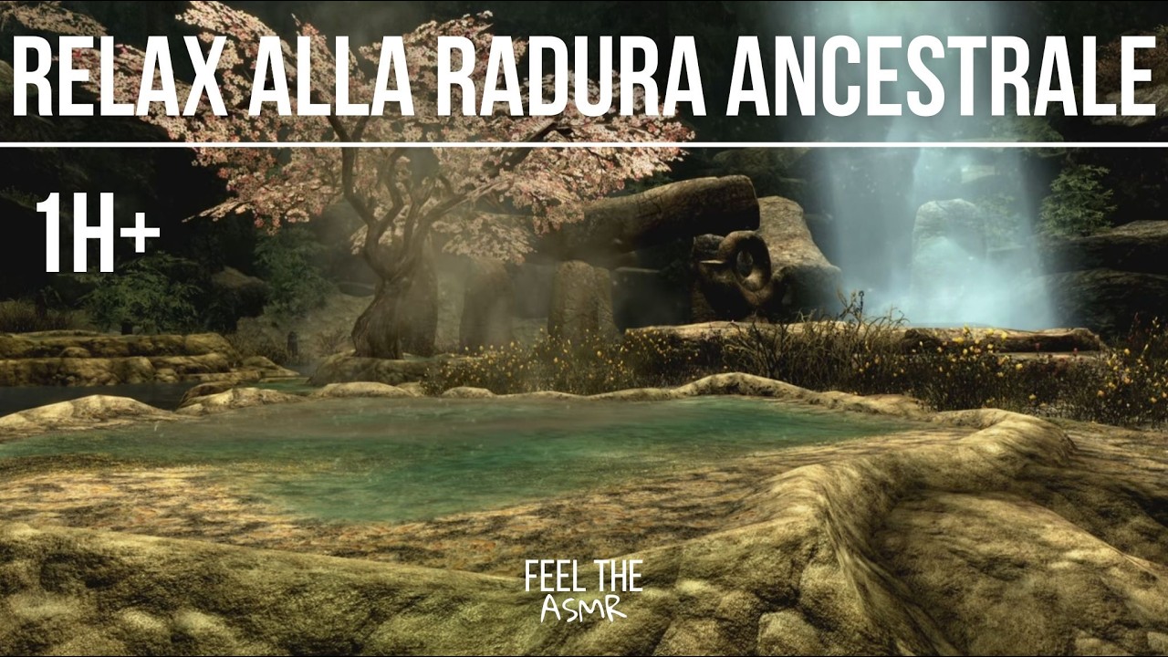 ASMR Skyrim | Radura Ancestrale 🌿 Suoni Mistici della Foresta per Dormire e Rilassarsi