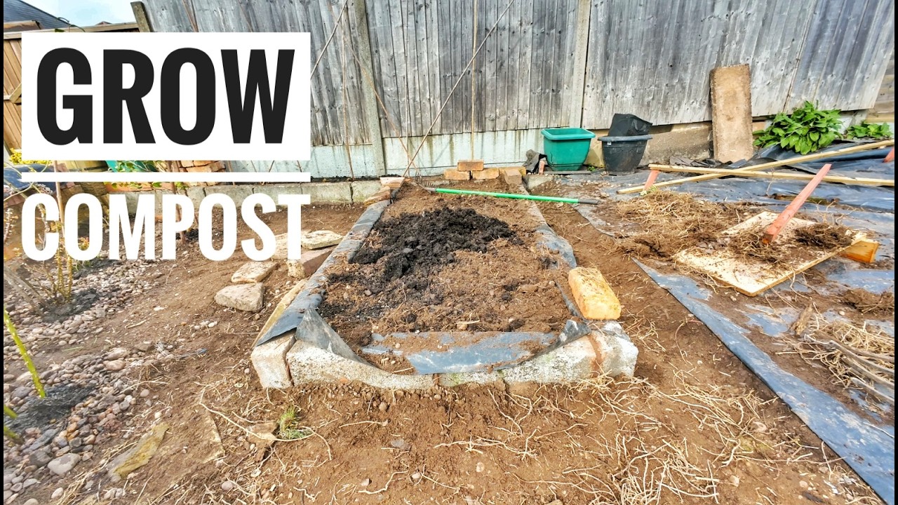 Can You Stop Buying Compost Forever? Self-Sufficiency in a Small UK City Home