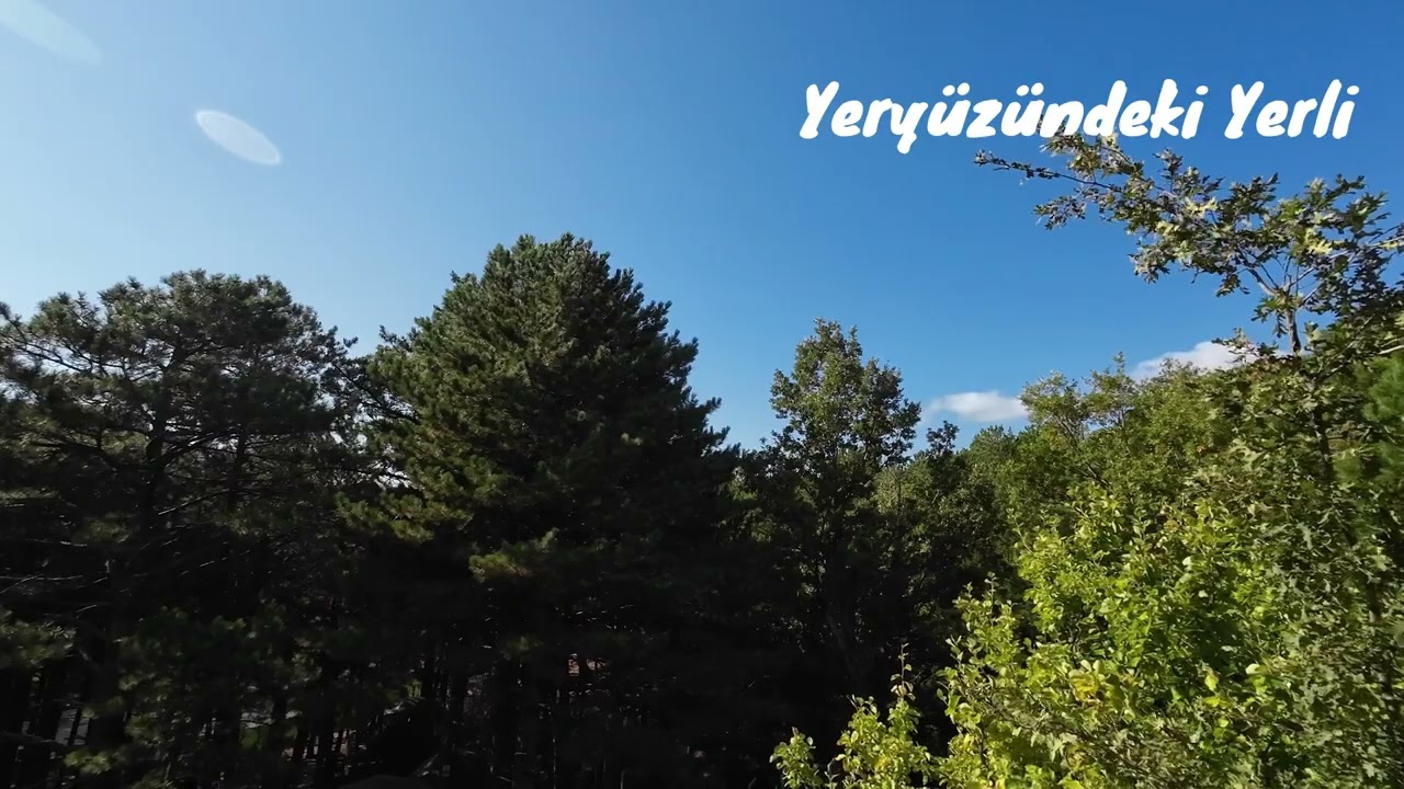 Kaz Dağları Asmr