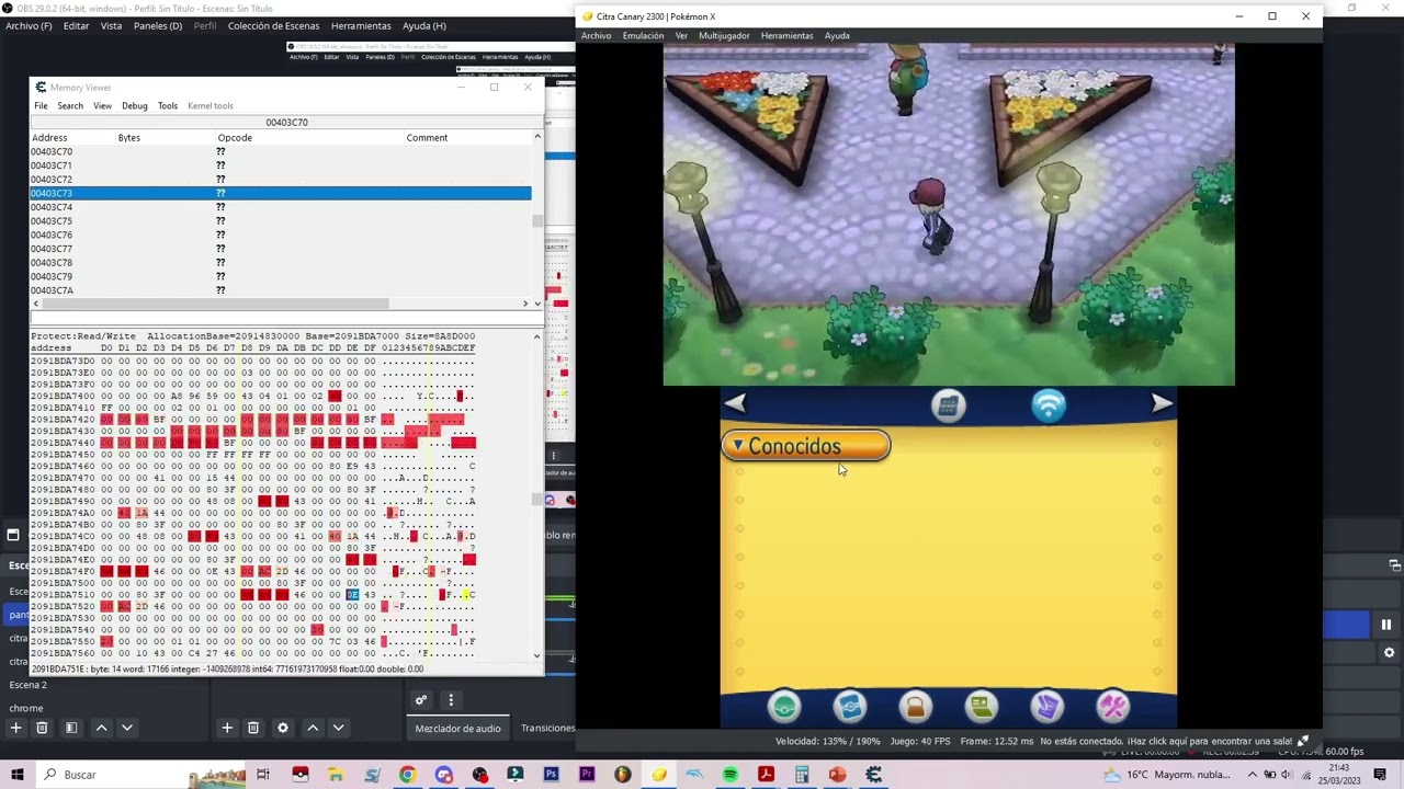 Cheat Test Pokemon XY: Change Sprite's animations