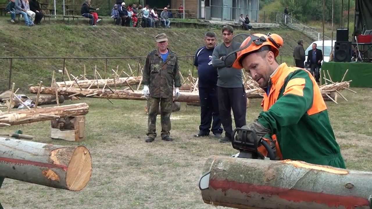 drevorubac banske 2013 - vifolt štúdio