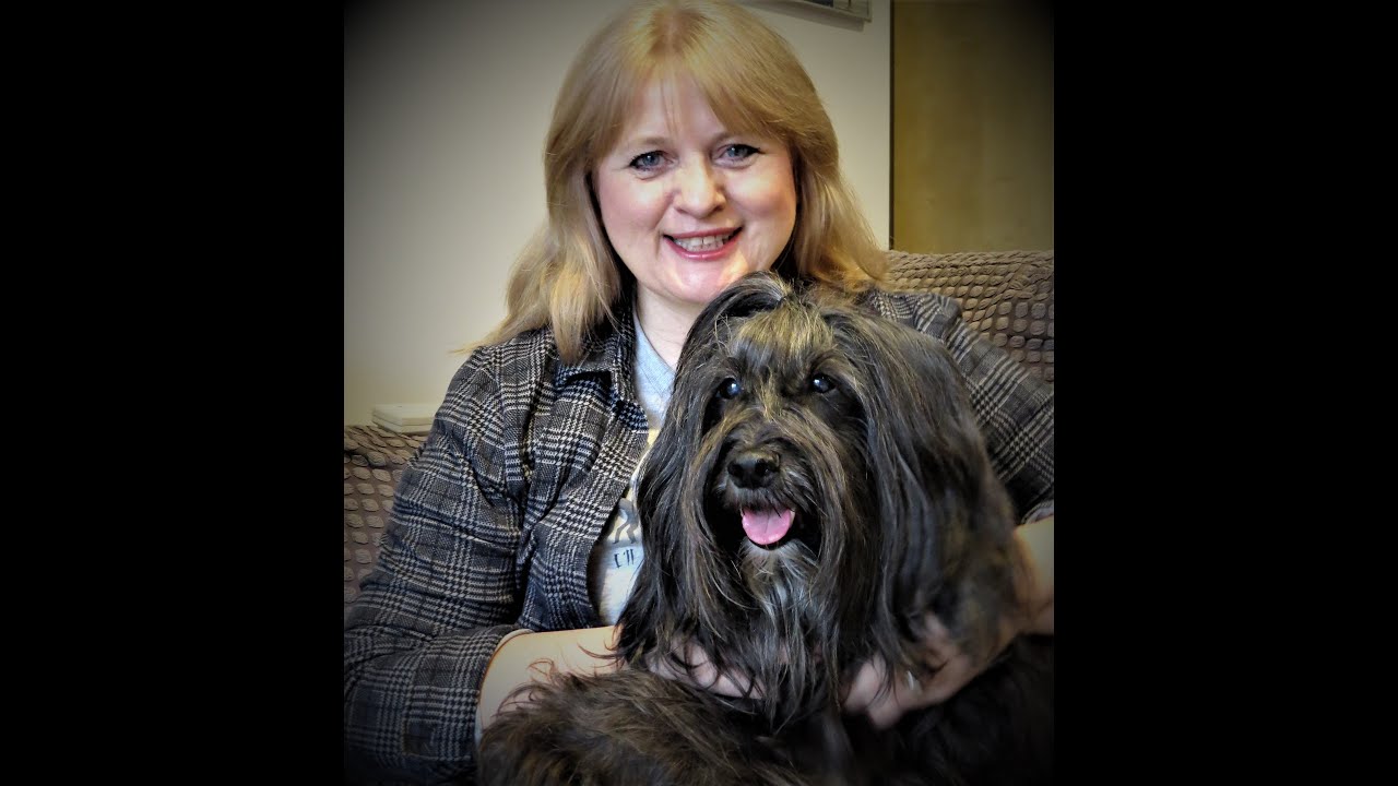 Thinning Your Tibetan Terrier Coat by Julie H Hindle