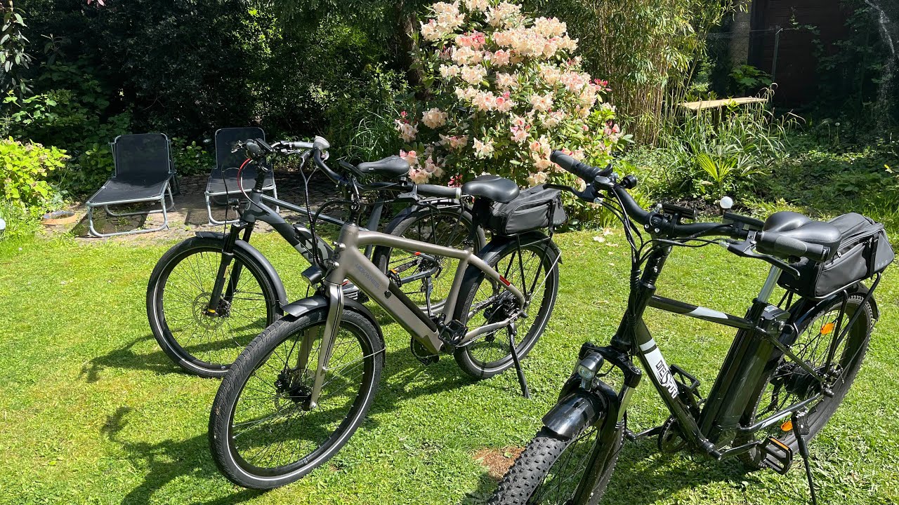 Kaufberatung E Bike/ Pedelec: Unterschiede zwischen sehr günstig, preiswert und teuer! Drei Modelle!