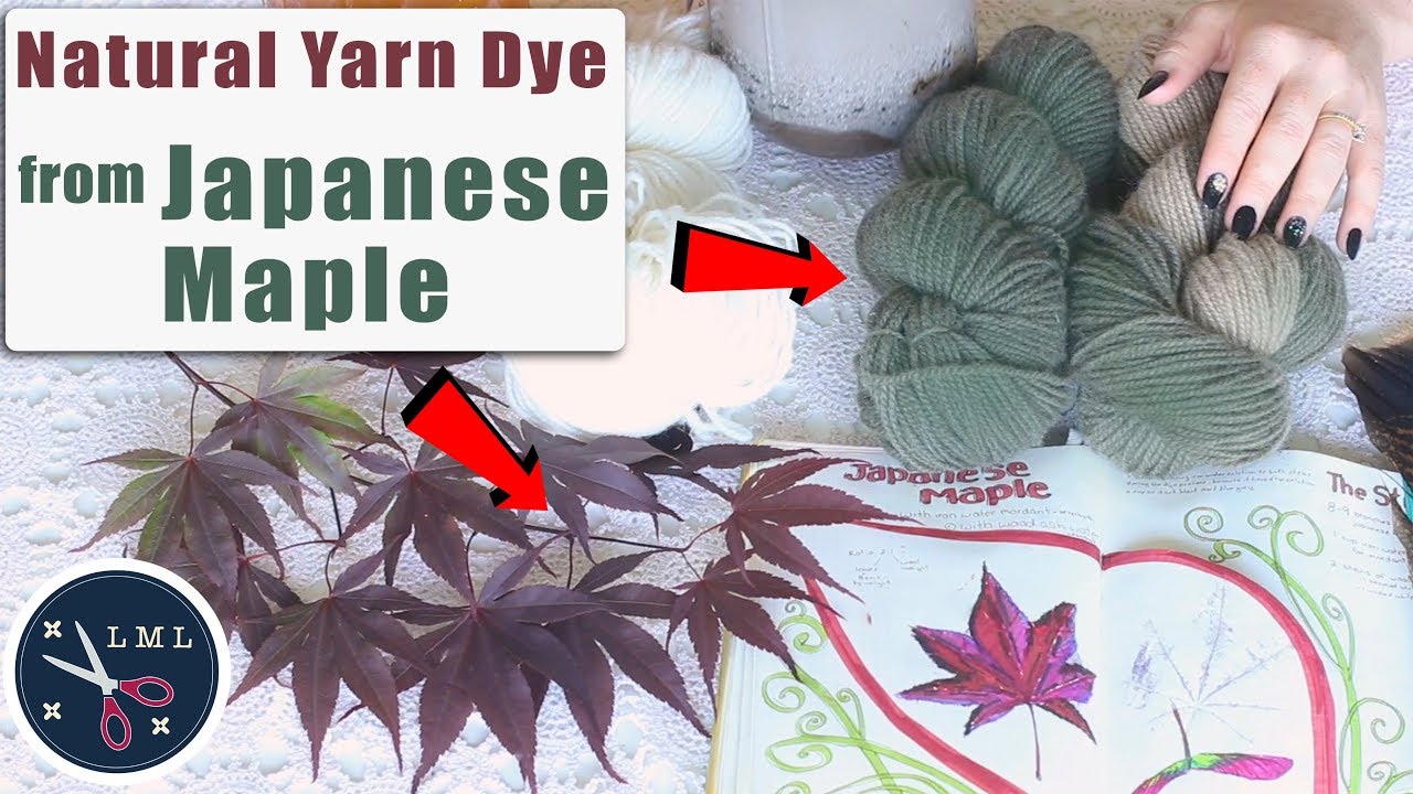 Japanese Maple Dye  | Last Minute Laura