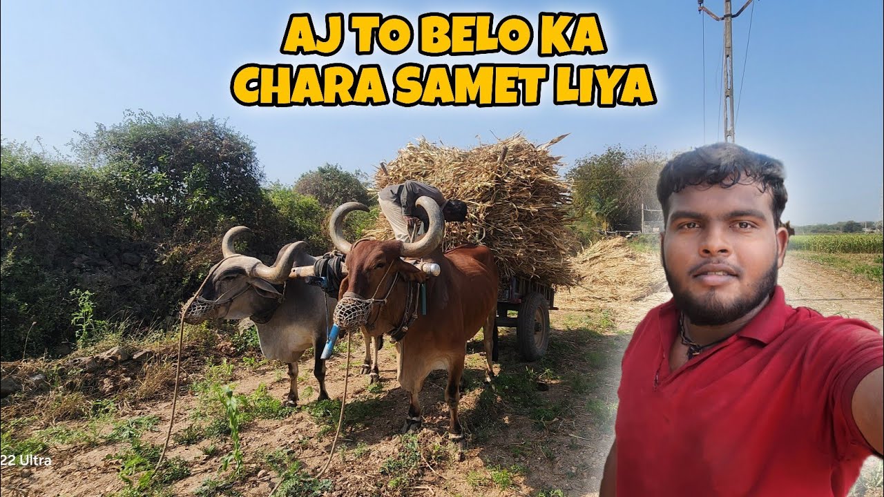 aj to belo ka chara samet liya | my new vlog  | anuj shani vlogs |