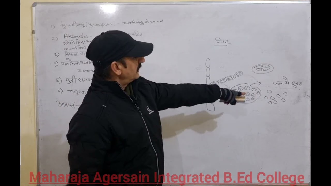 B.Sc B.Ed 1st Year Botany 10.01.26