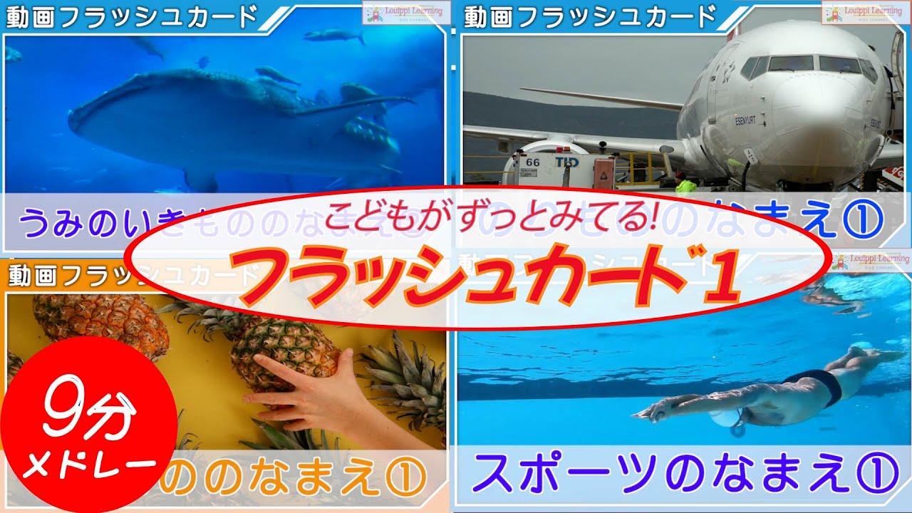 【フラッシュカード 1】動く動画版 連続メドレー　赤ちゃん 幼児向け 単語 0歳〜3歳から始める知育・幼児教育 Japanese Flash card medleys for kids