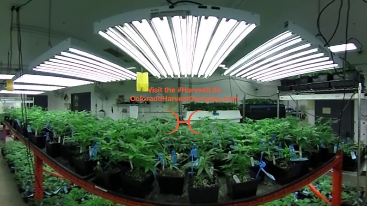 360&deg; Video - Colorado Harvest Company Grow House