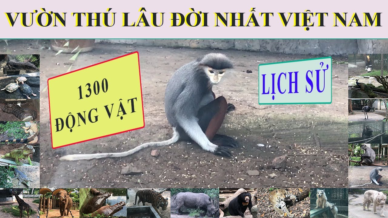 Is Thảo Cầm Viên Sài Gòn the Most BEAUTIFUL Park in Sài Gòn?