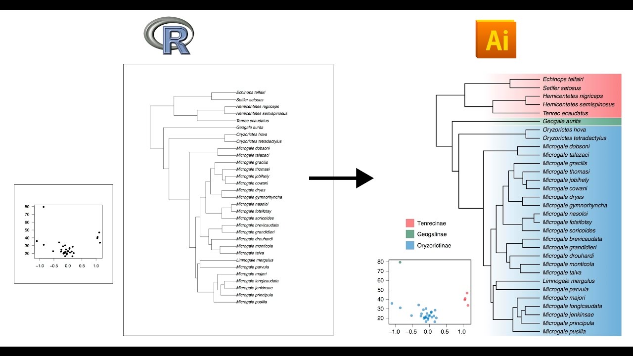 Tutorial: Editing R plots in Adobe Illustrator