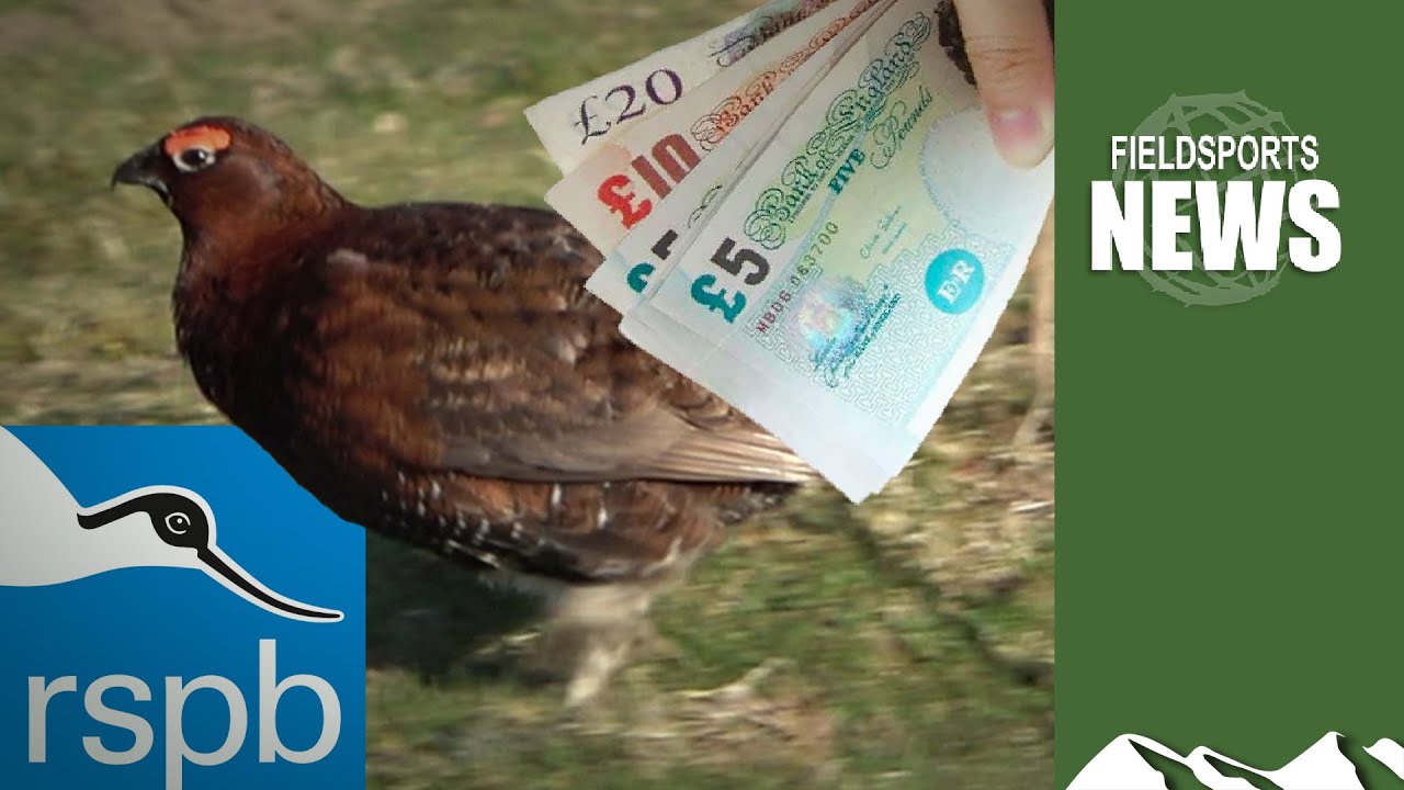 Difficult questions for the RSPB