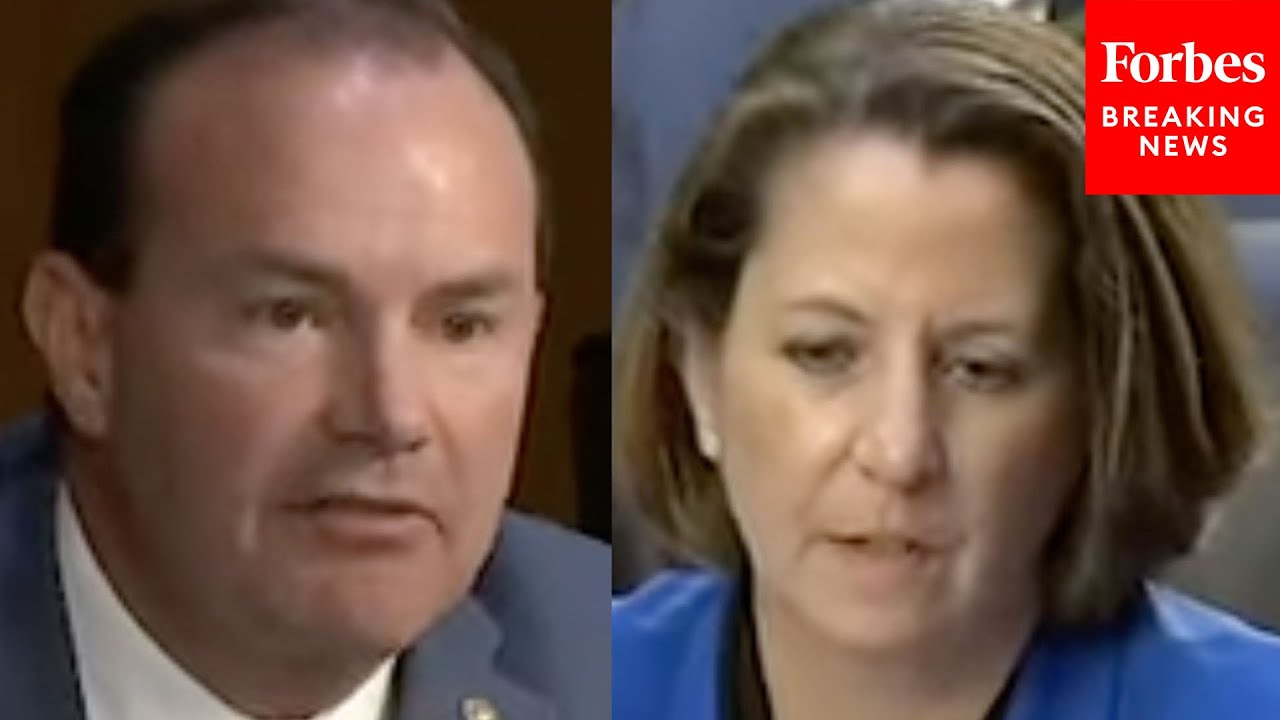 'He Had No Idea... No Idea Whatsoever': Mike Lee Spars With Deputy AG About Merrick Garland