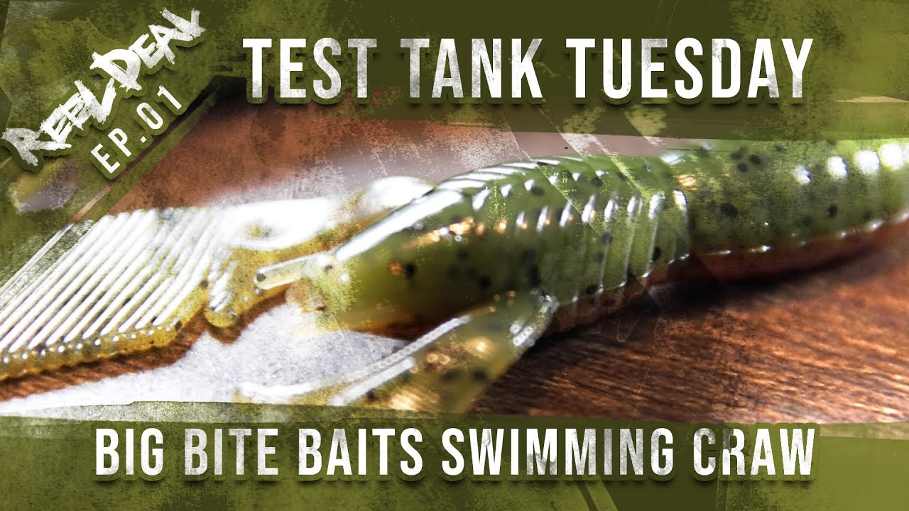Test Tank Tuesday - EP. 01 - BIG BITE BAITS SWIMMING CRAW