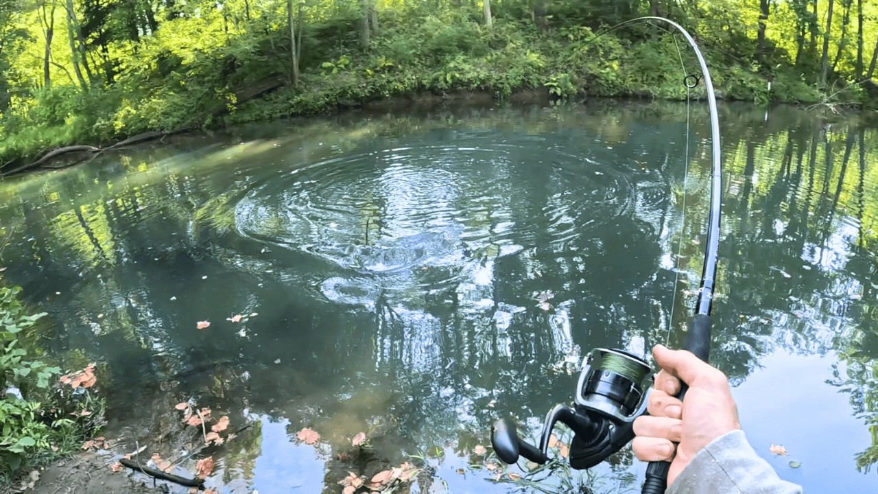 Searching For Creek Monsters!!! (Tons of Action!)