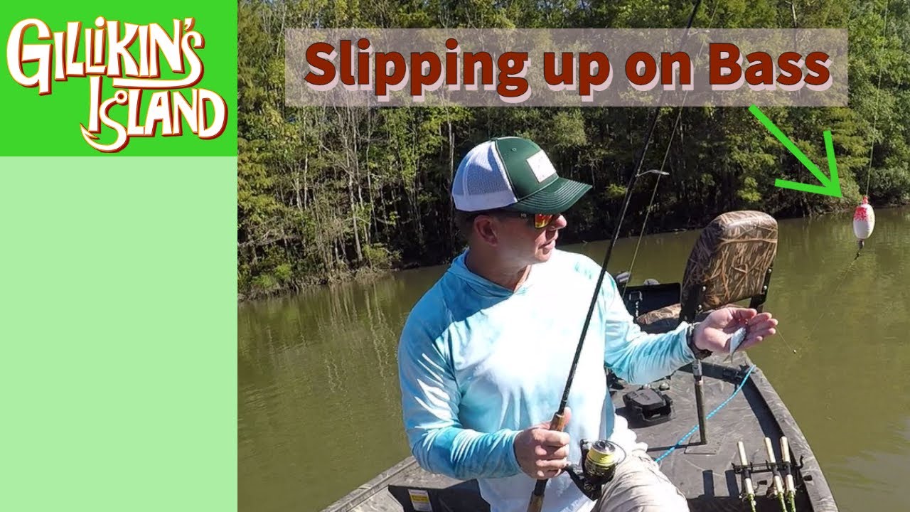 Chasing someone else's BASS