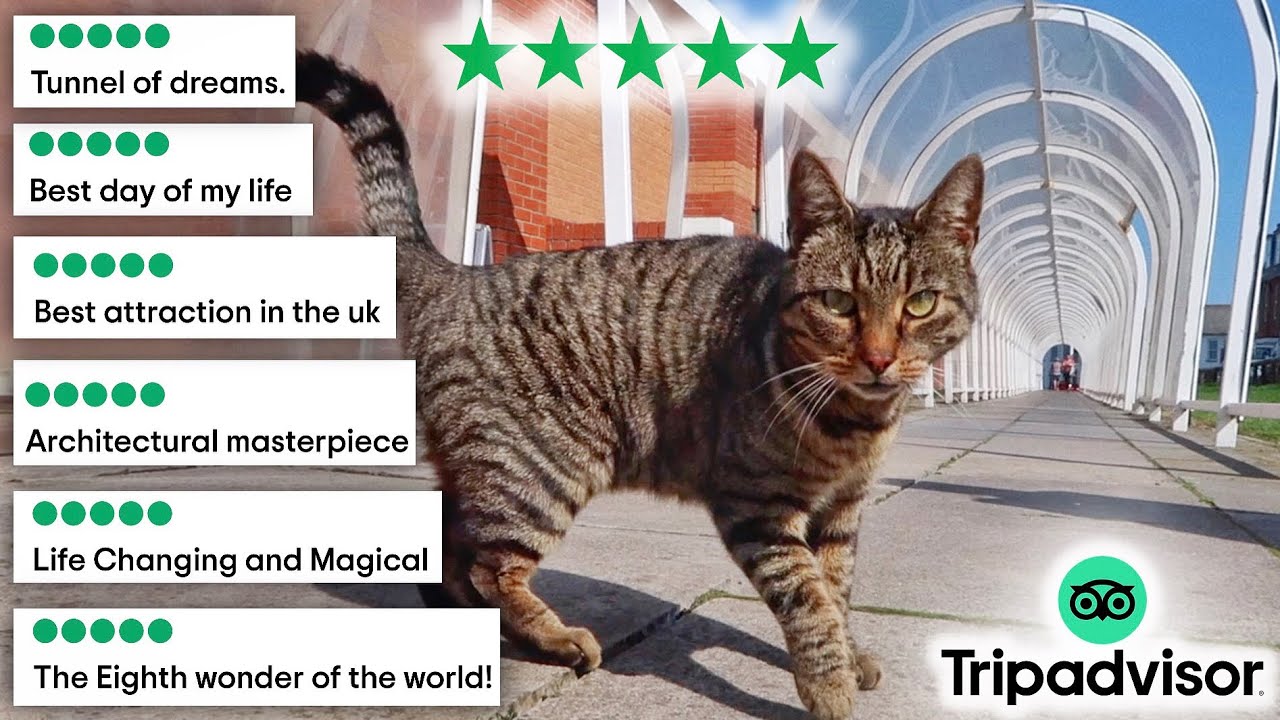 The Supermarket Tunnel That Became A World Wonder