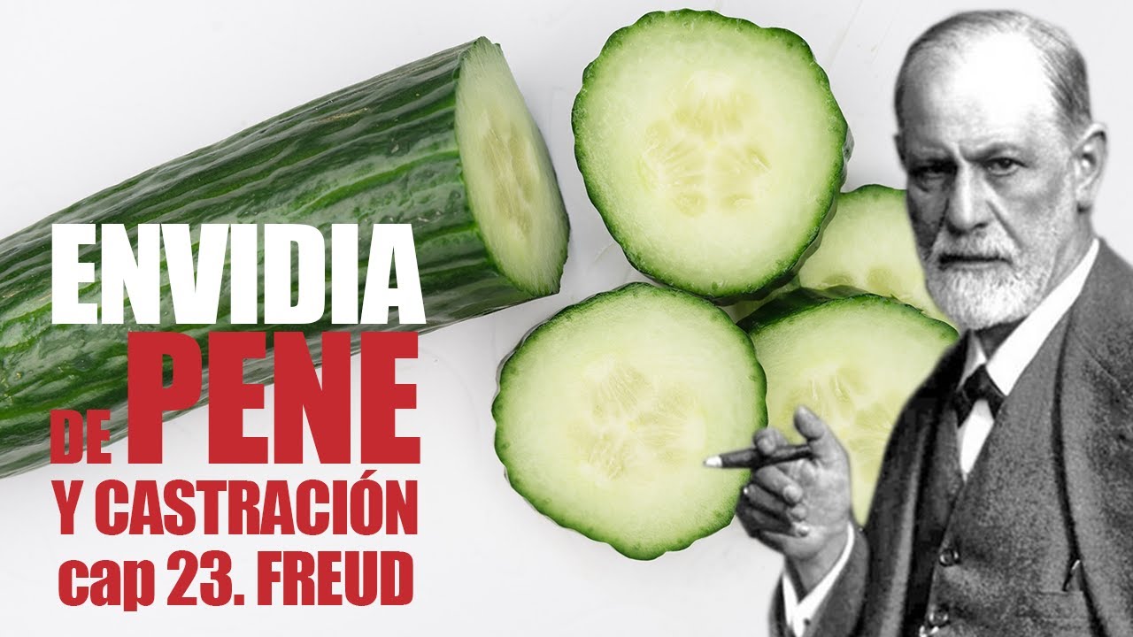 PENES Y VULVAS / La envidia fálica y la castración | cap 23 PENSANDO CON FREUD
