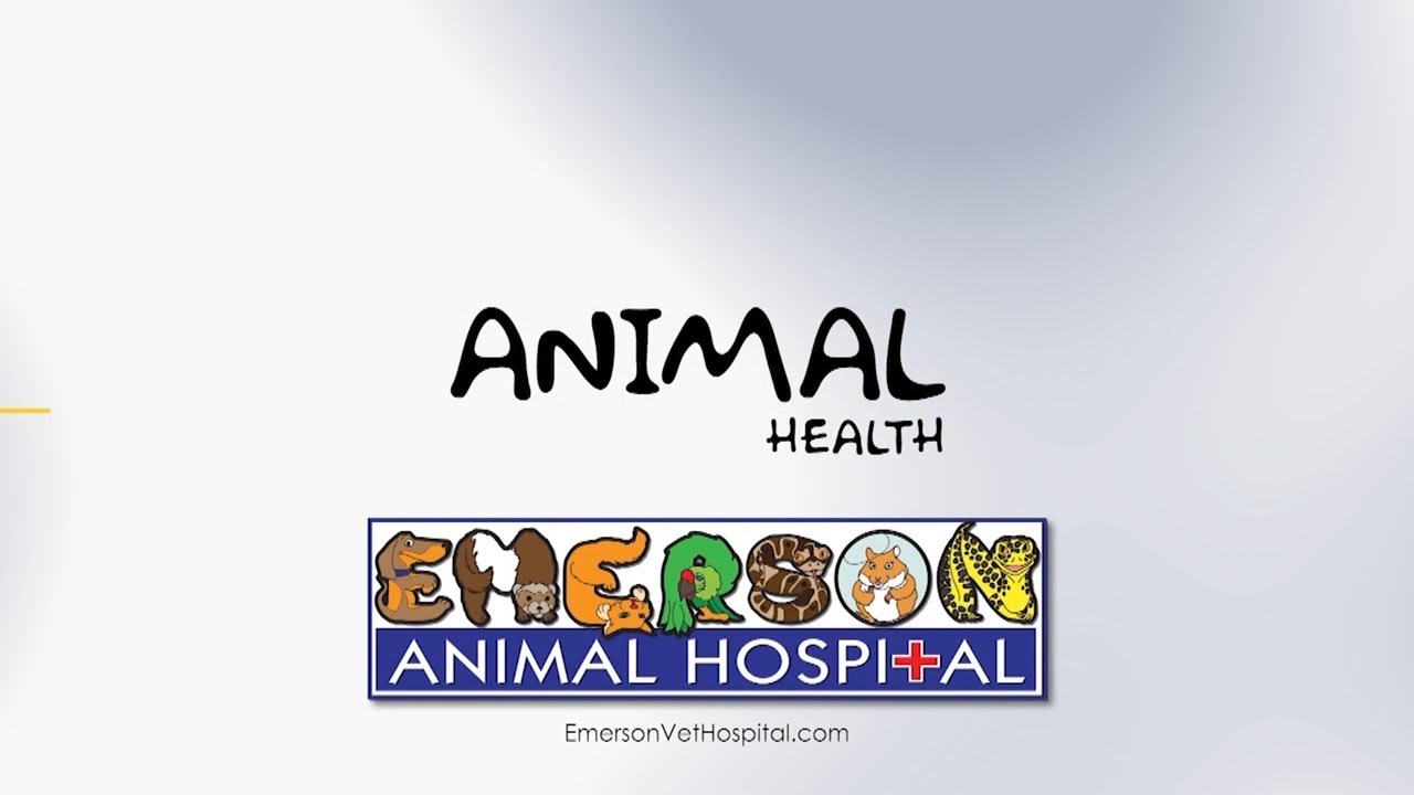 Animal Health (Spaying/Neutering)  - 01/08/26