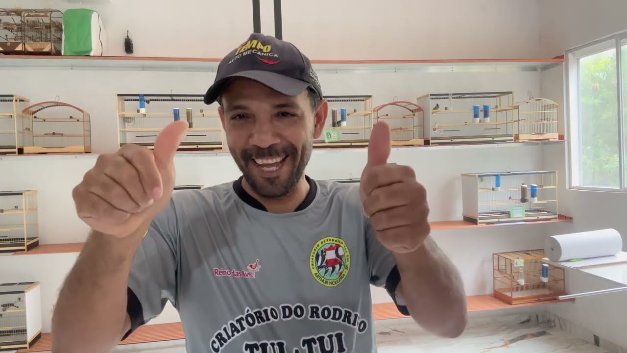 O coleiro faz a união de um grande amigo.