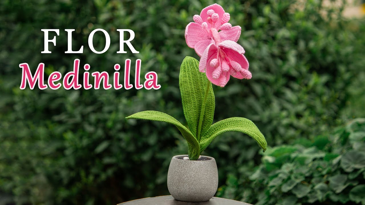 🌸 Flor Medinilla a Crochet - Paso a Paso | Tutorial Detallado 🌿