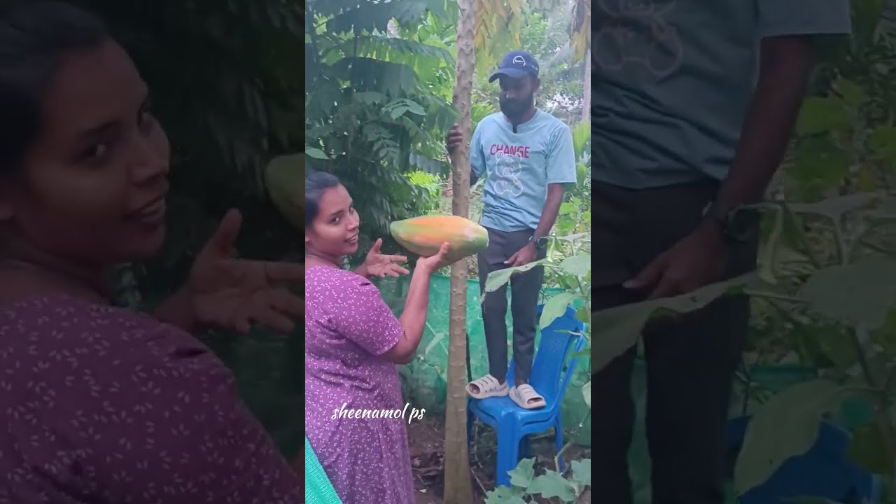 നമ്മുടെ മാഷിന്റെ കൂടെ ഒരു സായാഹ്നം 🥰🥰🥰@Ramesh Mavilamkotta😍😍