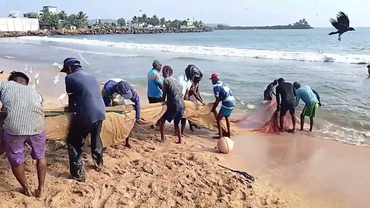 මාළුන්ගෙන් පිරුණු ගාල්ලේ මා දැල .බලන්නම ඕන මා දැලක් 