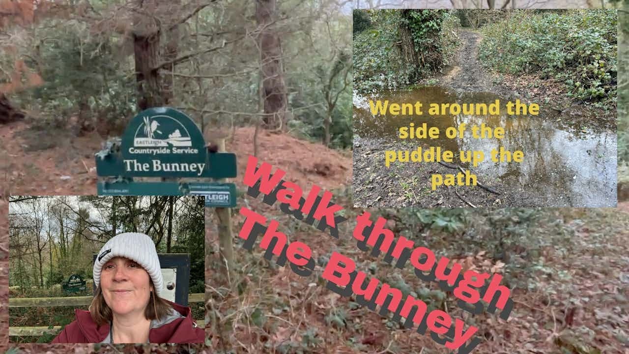 The Bunney