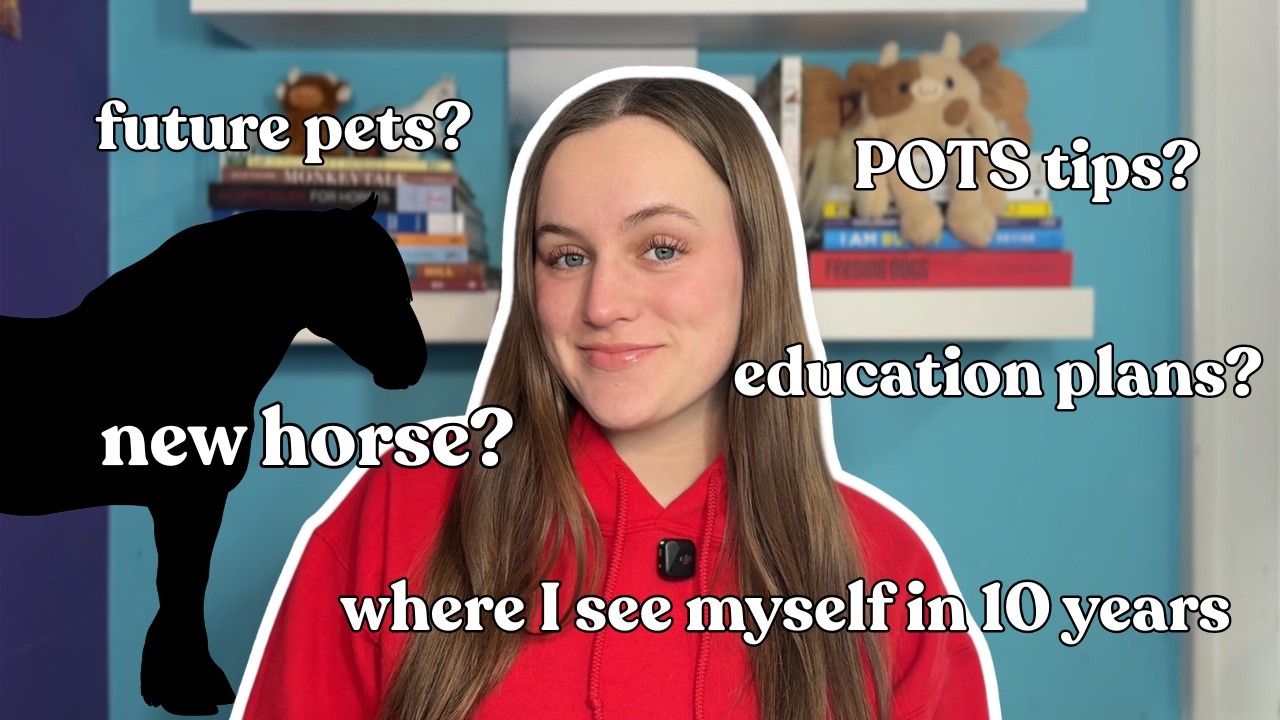 Answering Your Questions About Me | 20k Q&A