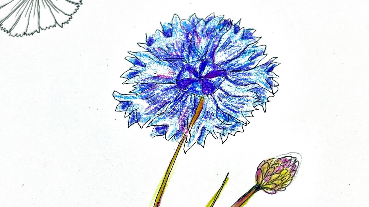 Doodle Easy Wildflowers