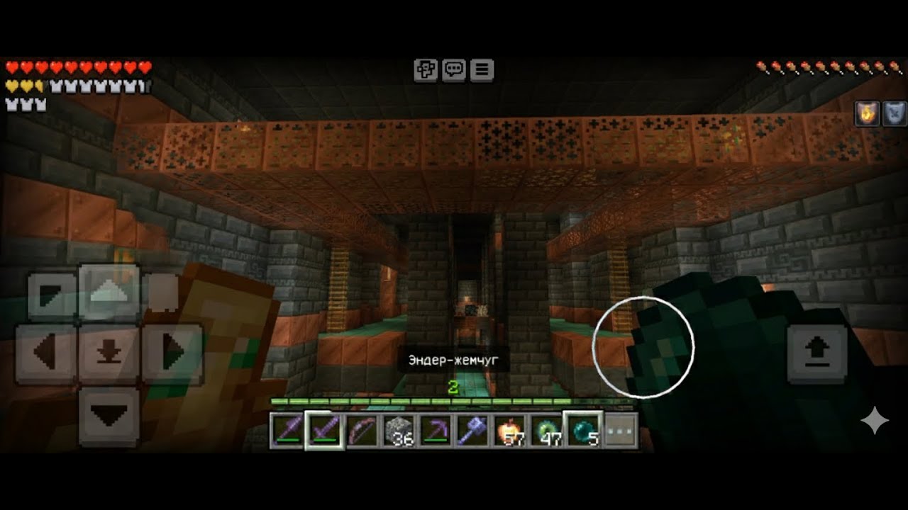 I Found a Workout Area in Minecraft 💪