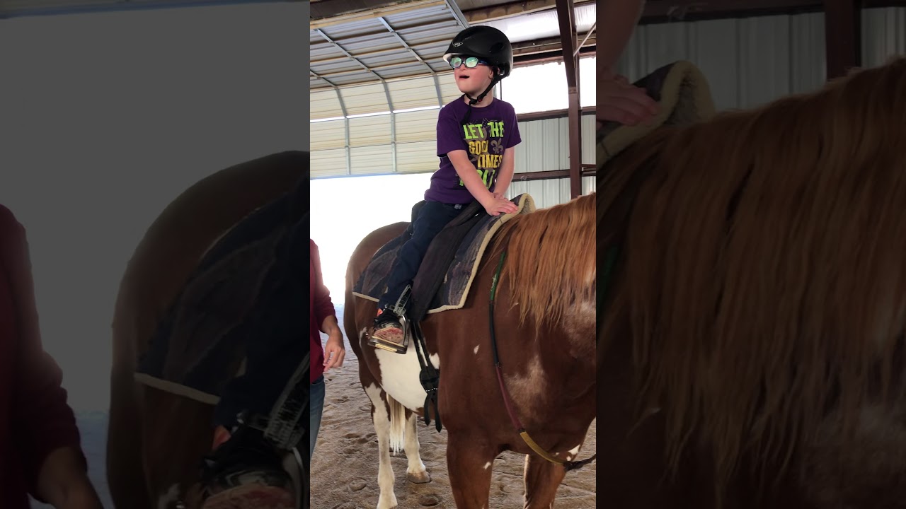 10/3 PATH therapeutic riding instructor certification video