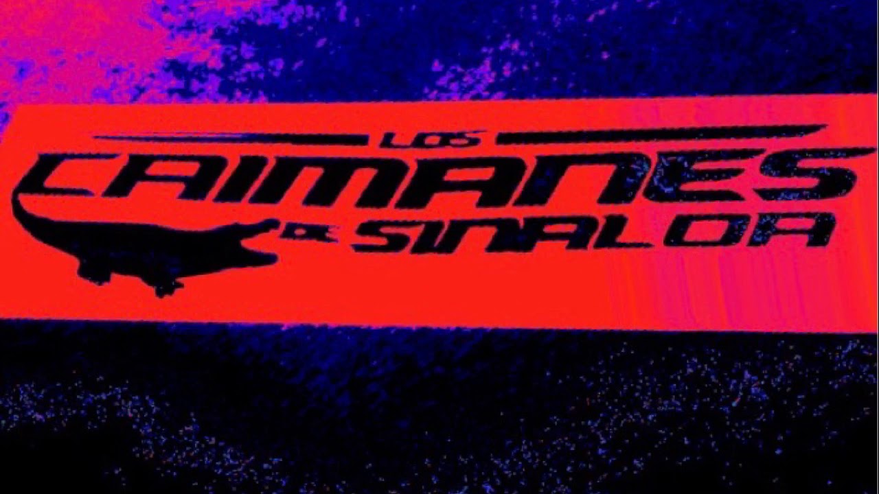 CUMBIAS ! | Los Caimanes