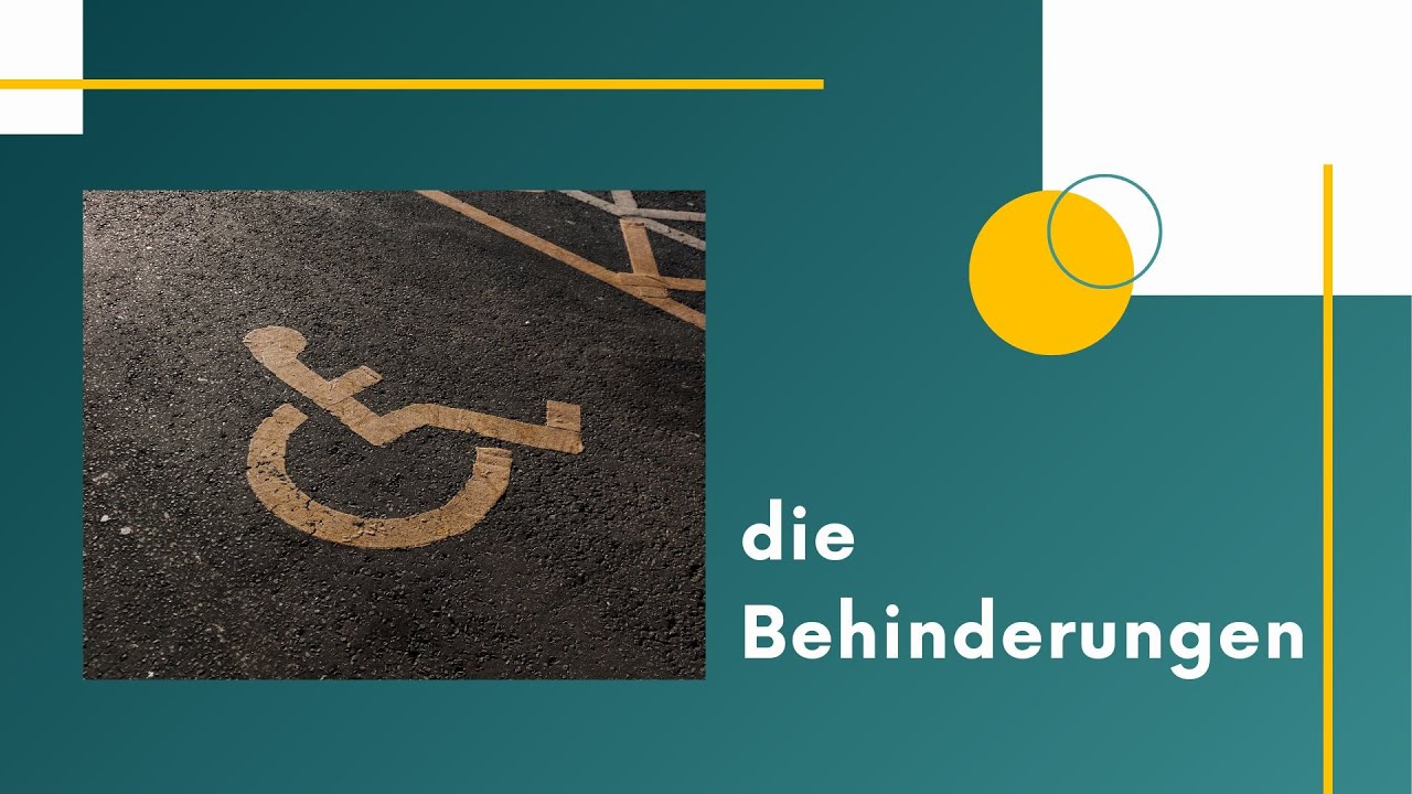 die Behinderungen - niepełnosprawności