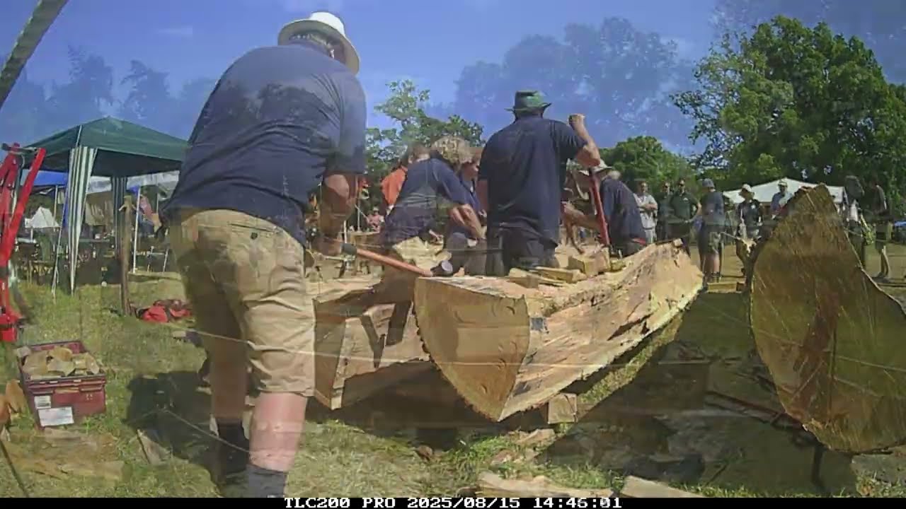 The Sutton Hoo Ship's Company - Time lapse of a tree being cleaved at Folk East 2025