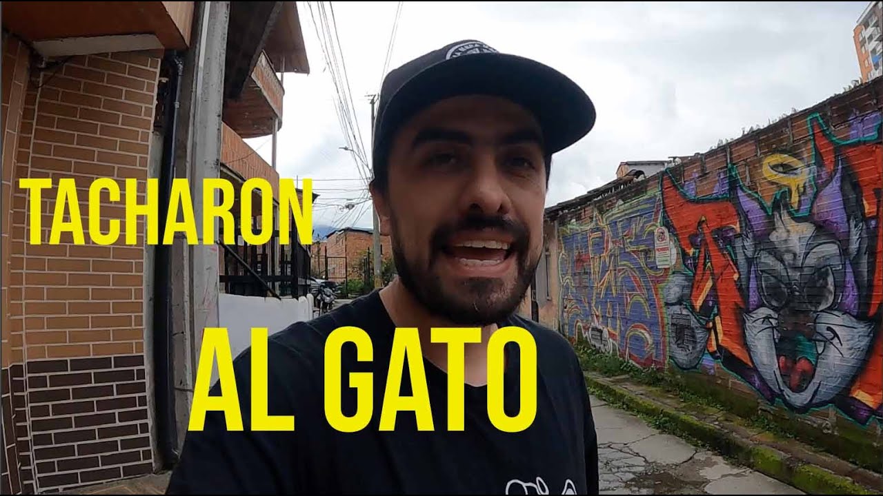 Qué hacer si te tapan un graffiti?