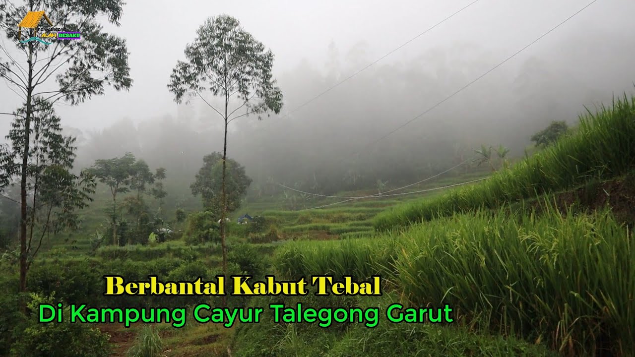 Semalam Di Kampung Cayur Talegong Garut, Suasana Hujan Berselimut Kabut Tebal.