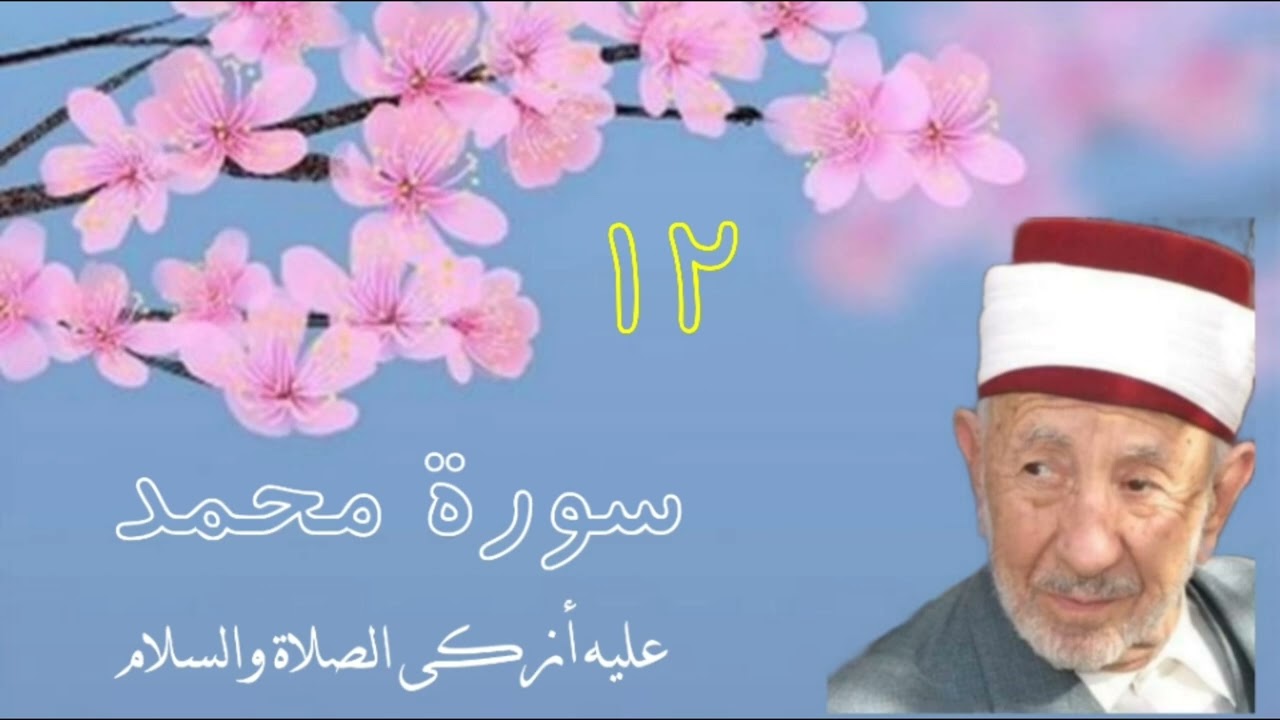 تفسير( إن الذين كفروا وصدوا عن سبيل الله وشاقوا الرسول من بعد ماتبين لهم الهدى ....)